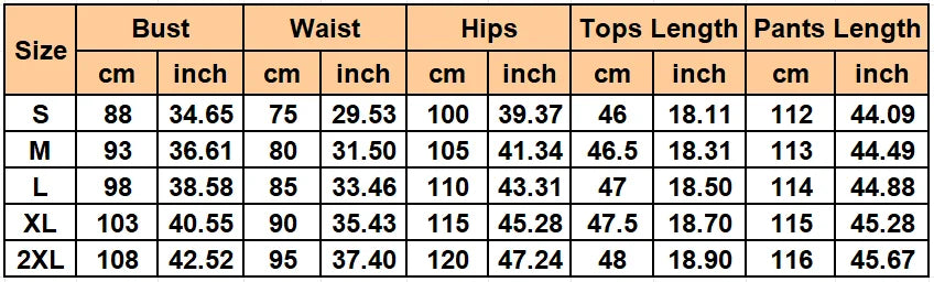 Women's 2 Pieces Sets 2025 Spring Summer Denim Sleeveless Suit Tops And Wide Leg Pants Suits Two Piece Set