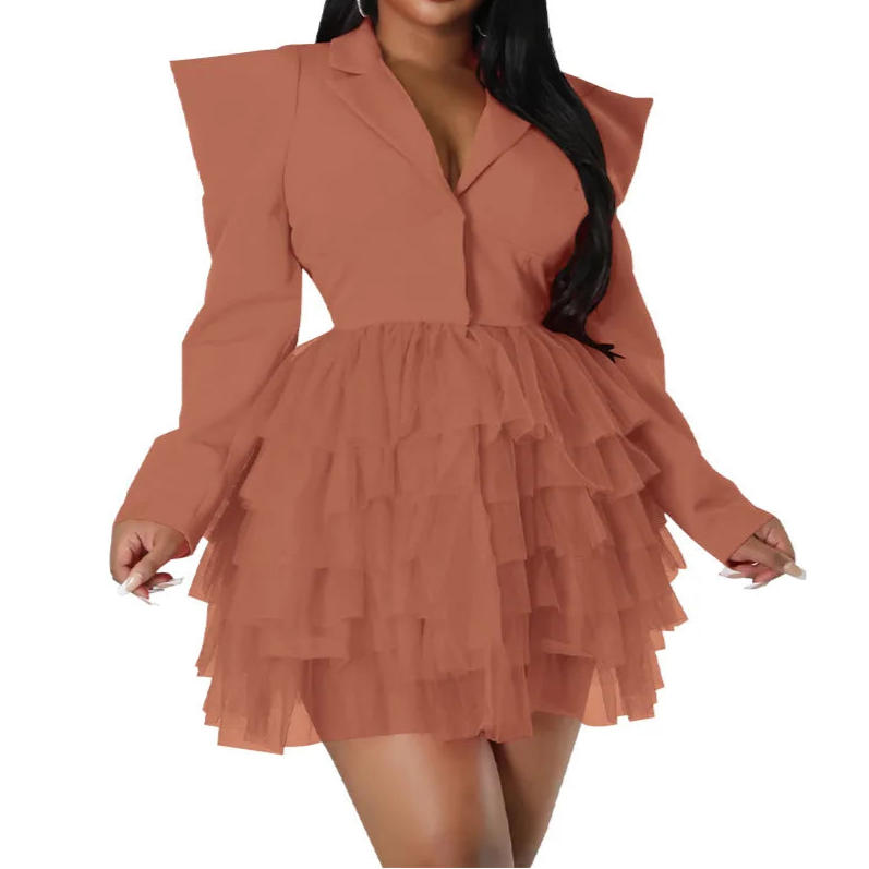 Mesh Paneling Solid Right Shoulders Long Sleeves Cake Dress For Women