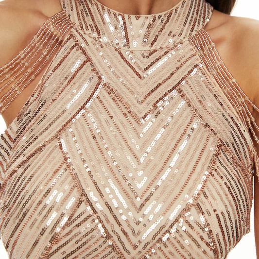 Sequined Fish Tail Long Dress Performance Banquet Evening Gown
