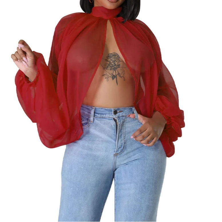Womens Chiffon Blouse Sexy See Through Lantern Sleeve Front Back Open High Neck Blouses Tops