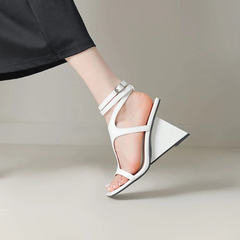 Taynort - Women's Online Clothing Store