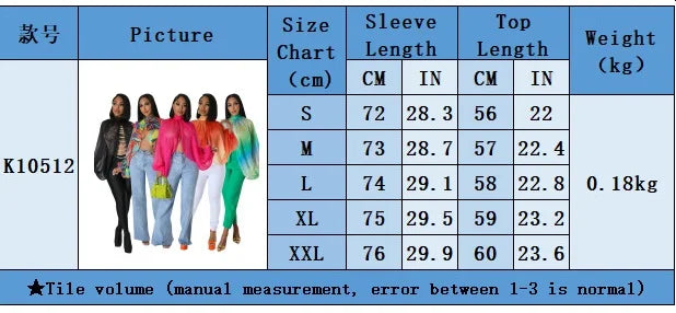 Womens Chiffon Blouse Sexy See Through Lantern Sleeve Front Back Open High Neck Blouses Tops