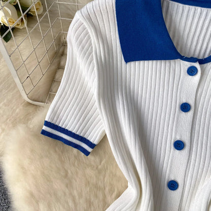 Mini Skirt Set Women Two Piece Sets Polo Collar Knit Shirt Tops Skirt Sets Casual Y2k