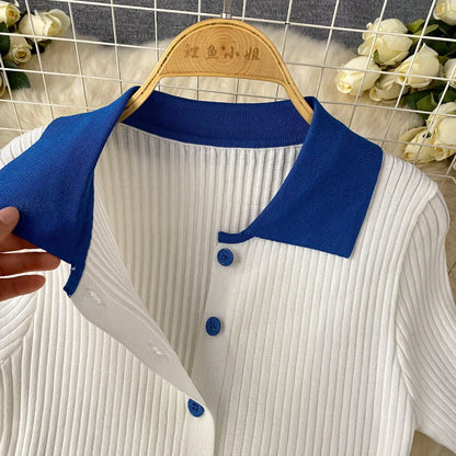 Mini Skirt Set Women Two Piece Sets Polo Collar Knit Shirt Tops Skirt Sets Casual Y2k