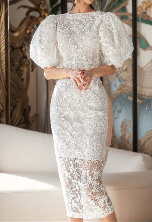 Women's Mid Length Long Length Short Sleeve High-End Midi Dress