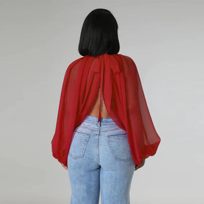 Womens Chiffon Blouse Sexy See Through Lantern Sleeve Front Back Open High Neck Blouses Tops